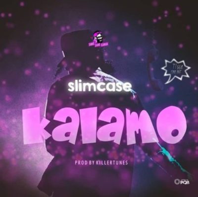 Slimcase – Kalamo