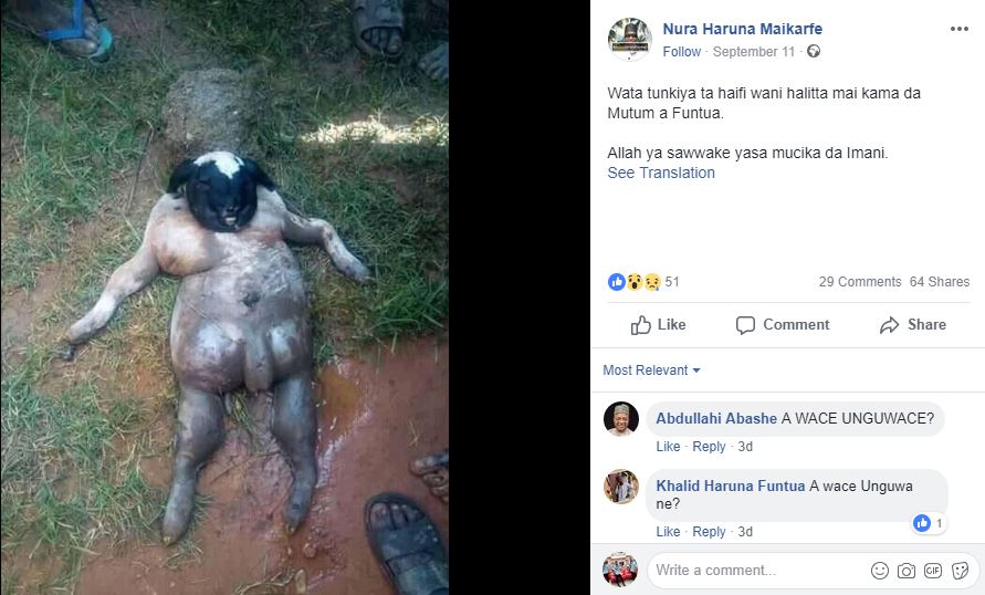 WTF? Woman Gives Birth to a Strange Creature After 12months of Pregnancy in Kastina (Photos)