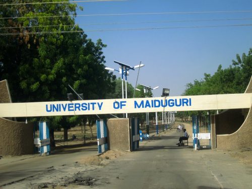 2019 Cultural Sustainability MSc Scholarships At University Of Maiduguri in Nigeria