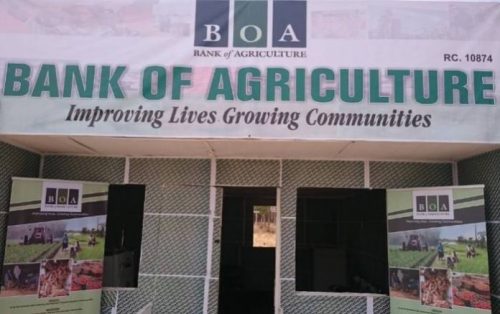 BoA: Kwara farmers yet to pay N227 million loan