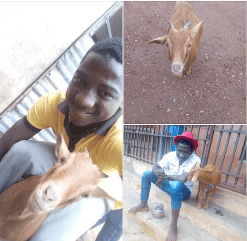 Lol! Nigerian Man Celebrates Birthday Of His Precious Goat (Photos)