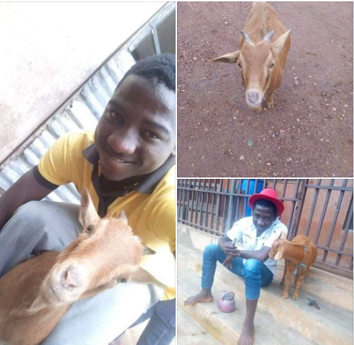 Lol! Nigerian Man Celebrates Birthday Of His Precious Goat (Photos)
