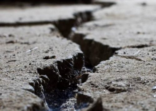 NIBBRI: No tremor should be taken for granted
