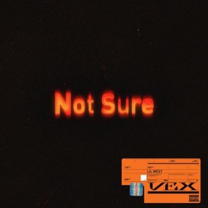 Not Sure Lyrics-Lil West