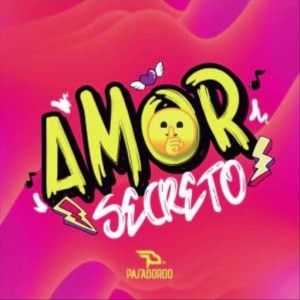 Letras de canciones de Amor Secreto-Pasabordo