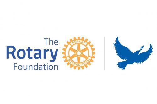 2020 Rotary Peace Fellowship Program for Young Professionals