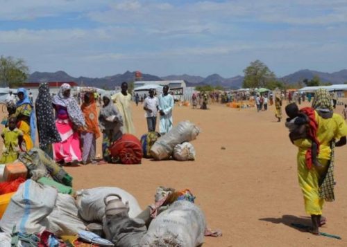 Boko Haram: 35,000 flee Nigeria for Cameroon