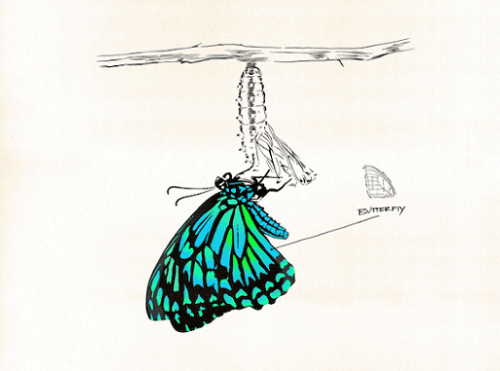 Butterfly Lyrics Kehlani | While We Wait