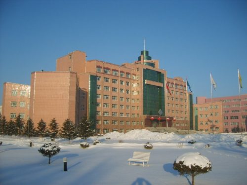Heilongjiang Provincial Government Scholarships At Jiamusi University in China, 2019