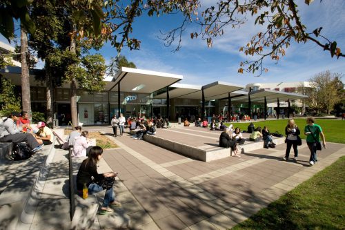 Tauranga Campus MSc Scholarships At University Of Waikato in New Zealand, 2019
