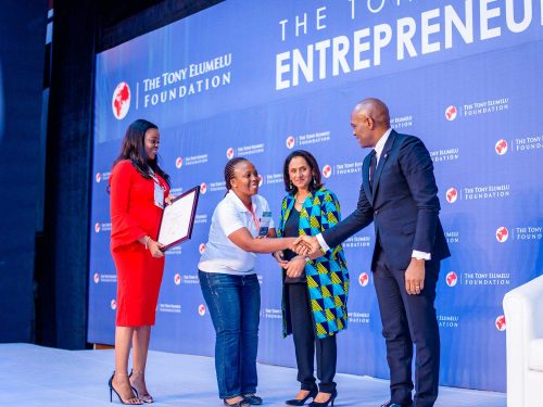 Tony Elumelu Foundation Sahel Youth Entrepreneurship Programme for Africans, 2019