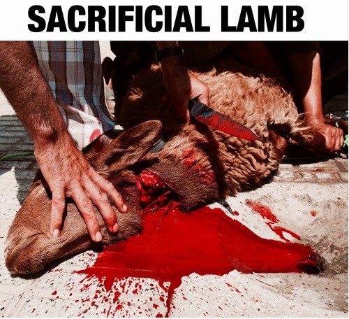 Payper Corleone – Sacrificial Lamb (Blaqbonez Diss Reply) Lyrics